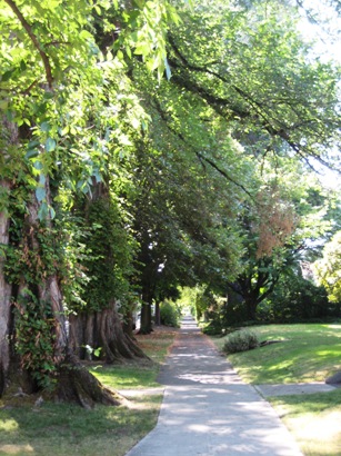 sidewalk-in-ladds-addition