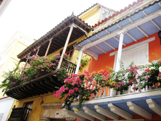 balconies w bougainvillea balconies w bougainvillea