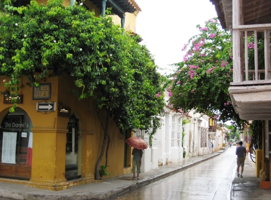 narrow street w bougainvillea narrow street w bougainvillea