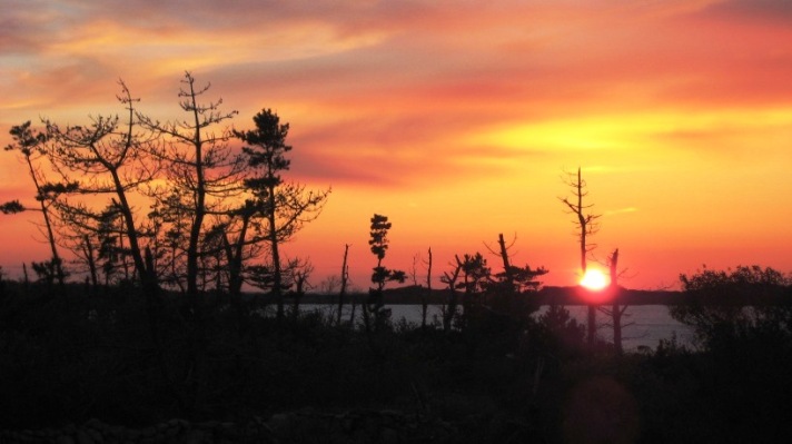 2007-1110 sunset 3
