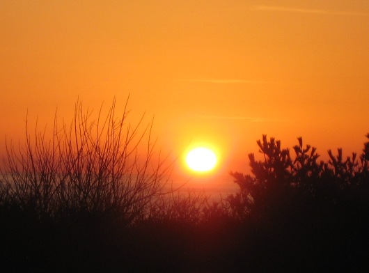 sunrise 2 2010-0403