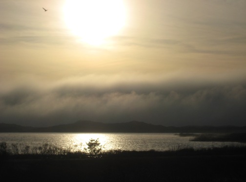 fog beyond dunes