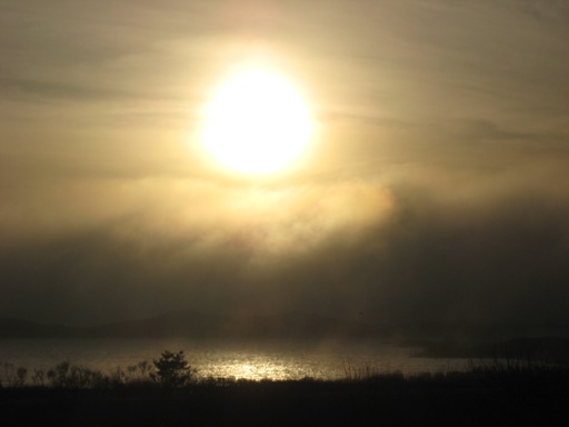 fog over dunes