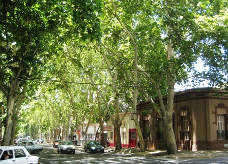 sm IMG_5413 Street in Mendoza