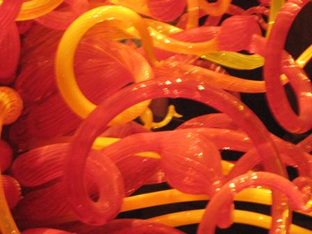 IMG_7936sm