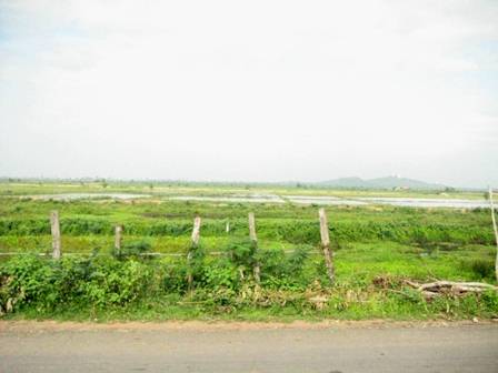 sm00IMG_7845
